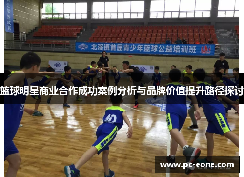 篮球明星商业合作成功案例分析与品牌价值提升路径探讨